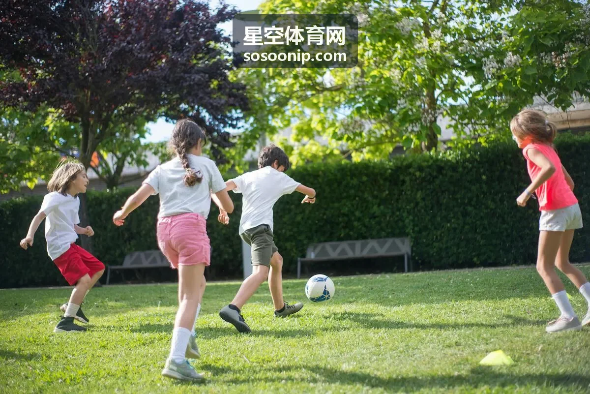 星空体育网足球联赛科技方案